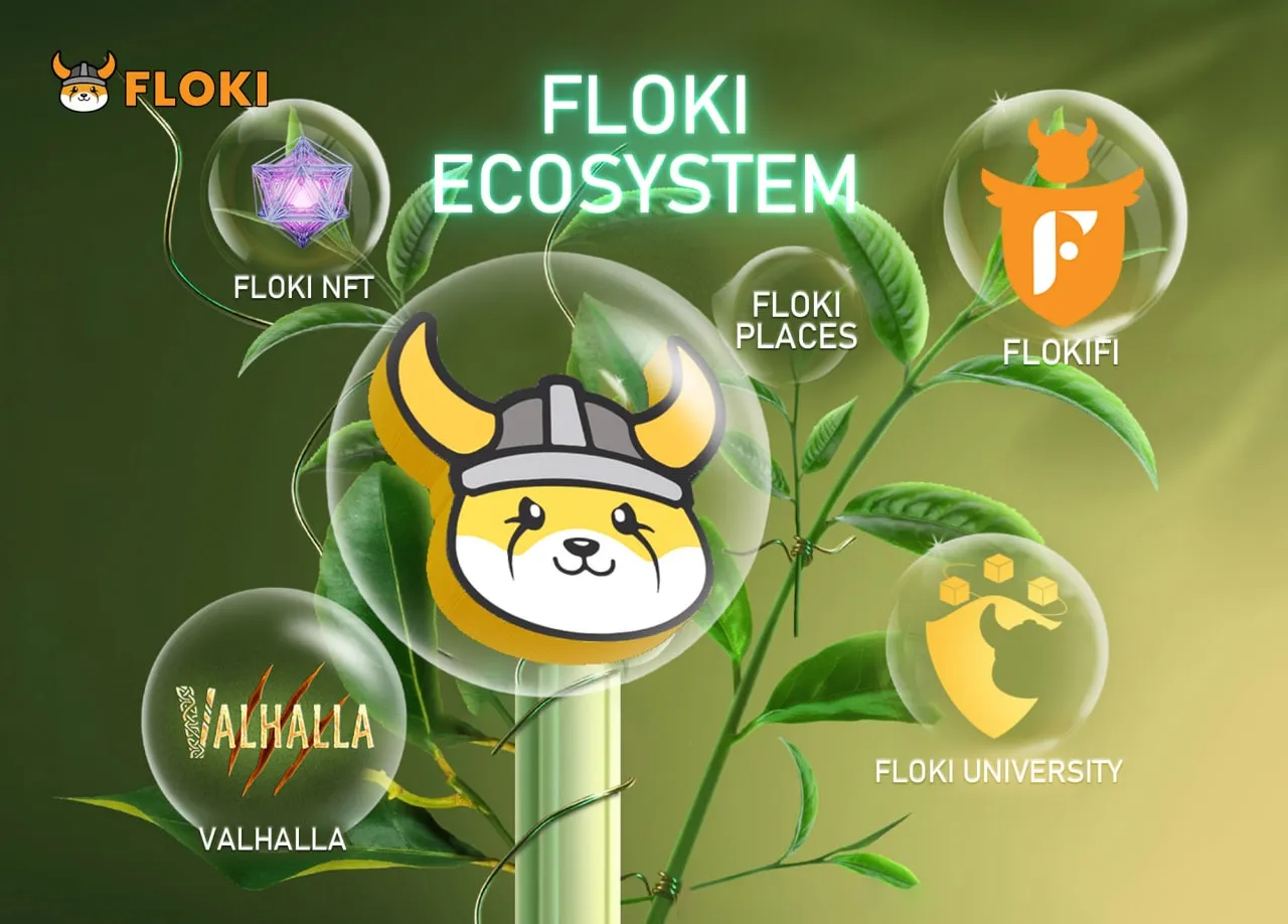 A poster depicting Floki's future.